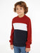 Boy wearing the Tommy Hilfiger colourblock sweater.