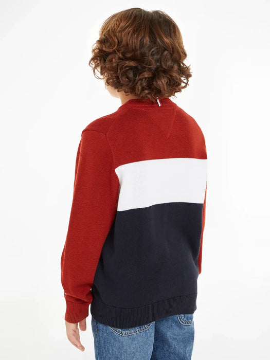 Back view of the Tommy Hilfiger colourblock sweater.
