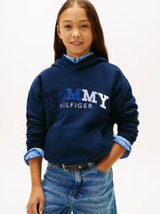 Tommy Hilfiger embroidered hoodie with embroidered tonal logo in shades from navy to white.