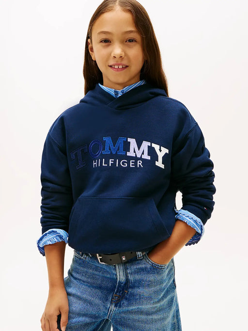 Tommy Hilfiger embroidered hoodie with embroidered tonal logo in shades from navy to white.