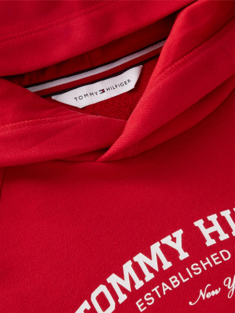 Closer view of the Tommy Hilfiger essential hoodie.