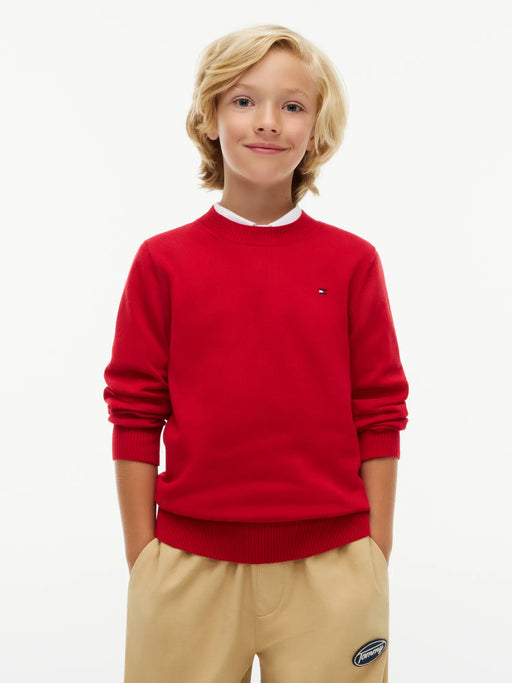 Closer look at the Tommy Hilfiger essential sweater.