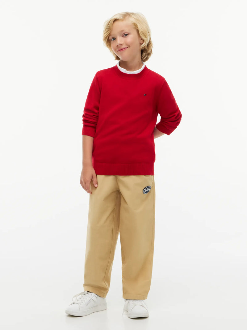 Boy modelling the Tommy Hilfiger essential sweater.