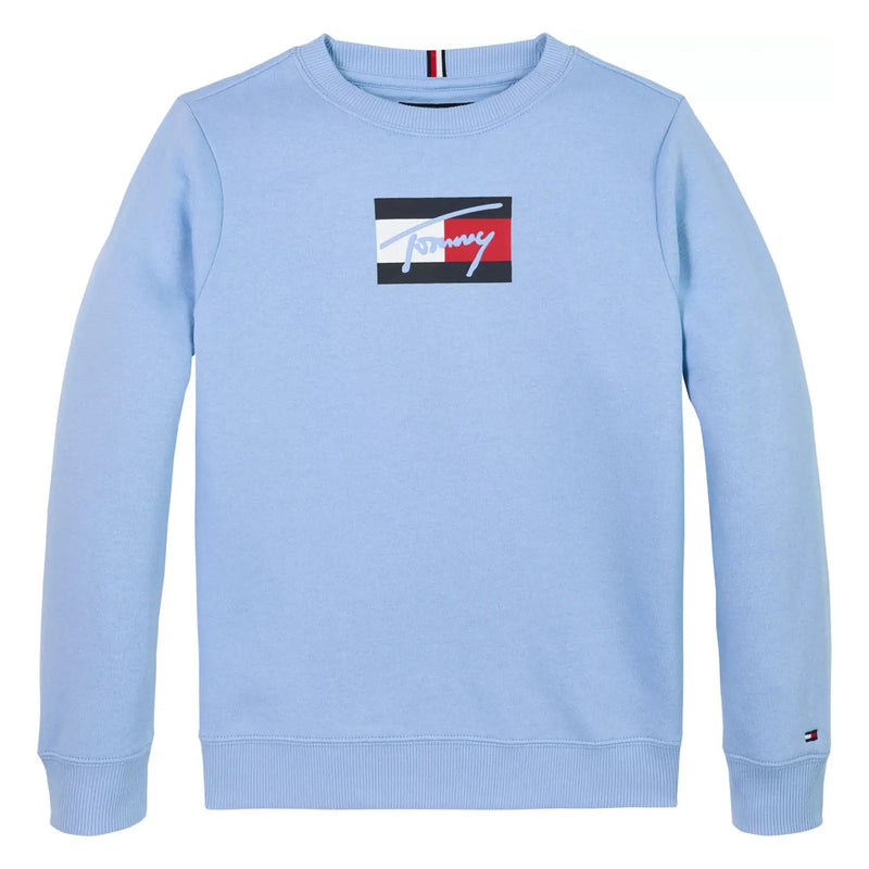 Tommy Hilfiger boy's blue flag logo sweatshirt - kb09741.