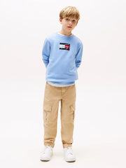 Boy in blue flag logo sweatshirt by Tommy Hilfiger.