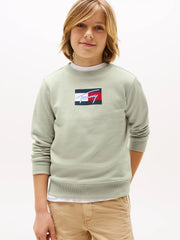 Closer look at the Tommy Hilfiger flag logo sweatshirt.