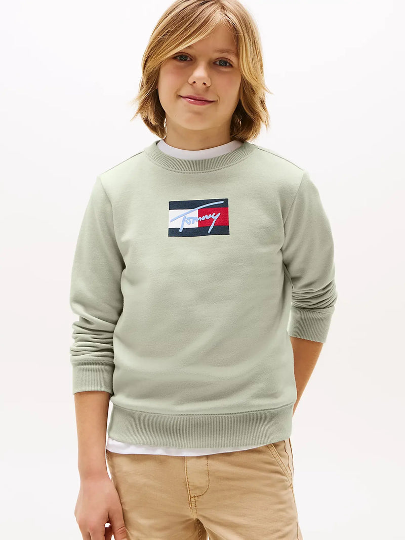 Closer look at the Tommy Hilfiger flag logo sweatshirt.