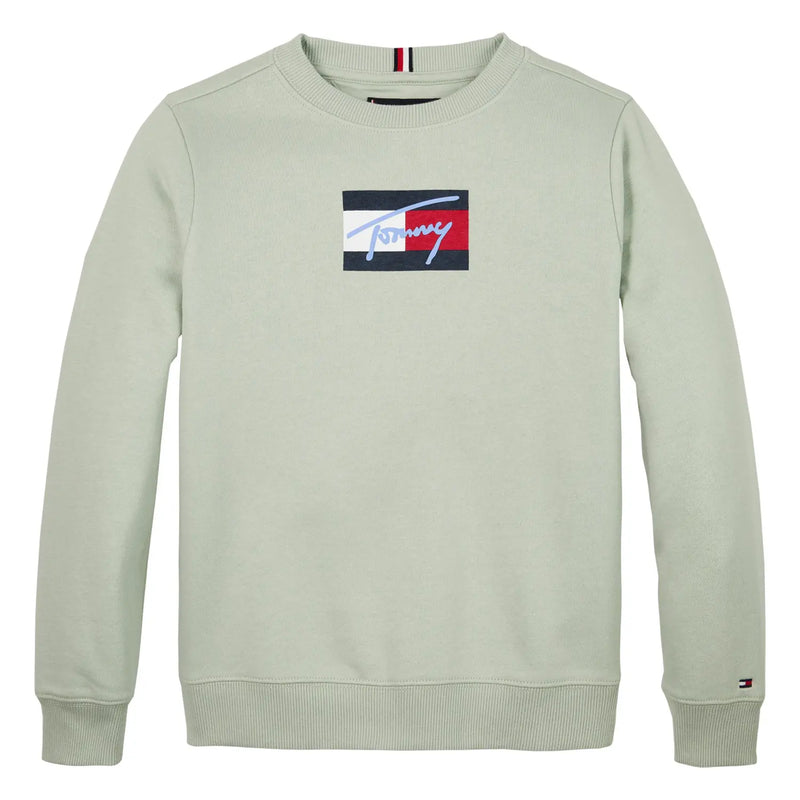 Tommy Hilfiger flag logo sweatshirt - kb09741.
