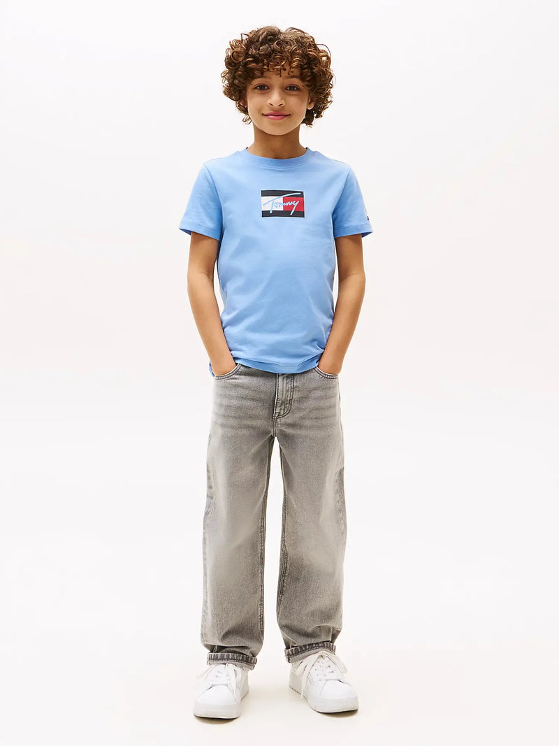 Boy wearing the Tommy Hilfiger flag logo t-shirt.