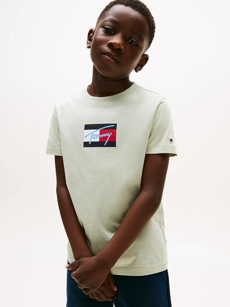 Closer view of the Tommy Hilfiger flag logo t-shirt.