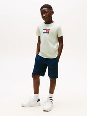 Boy modelling the Tommy Hilfiger flag logo t-shirt.