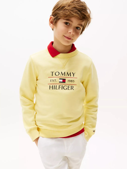 Closer view of the Tommy Hilfiger flag sweatshirt.