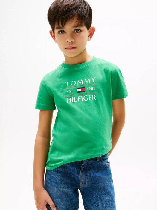 Closer view of the Tommy Hilfiger flag t-shirt.