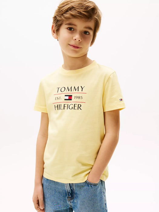 Closer look at the Tommy Hilfiger flag t-shirt.