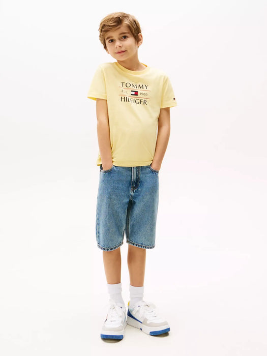 Boy wearing the Tommy Hilfiger flag t-shirt.