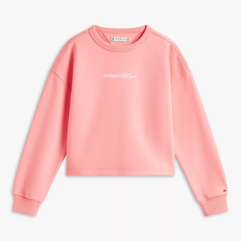 Tommy Hilfiger glitter logo sweatshirt - kg09128.