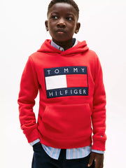 Closer look at the Tommy Hilfiger heritage flag hoodie.