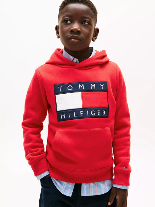 Closer look at the Tommy Hilfiger heritage flag hoodie.