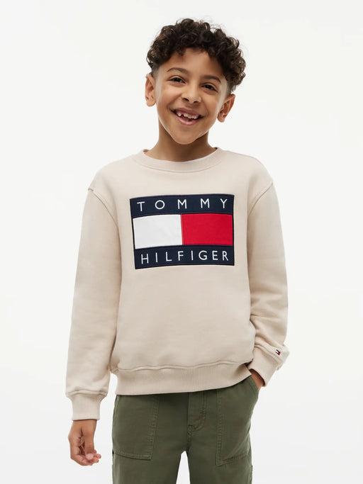 Closer view of the Tommy Hilfiger heritage flag sweatshirt.