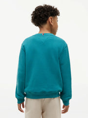 Back of the Tommy Hilfiger green heritage flag sweatshirt.