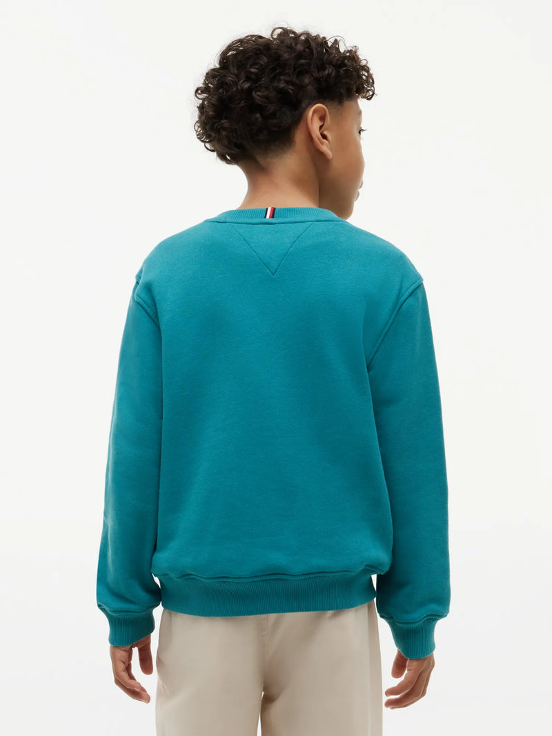 Back of the Tommy Hilfiger green heritage flag sweatshirt.