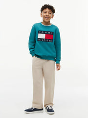 Smiling Boy modelling the Tommy Hilfiger heritage flag sweatshirt.