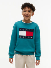 Closer look at the Tommy Hilfiger heritage flag sweatshirt.