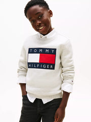Closer look at the Tommy Hilfiger heritage flag sweatshirt.
