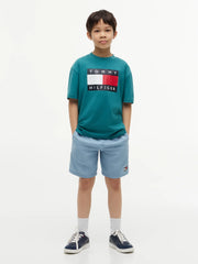Boy modelling the Tommy Hilfiger heritage flag t-shirt.