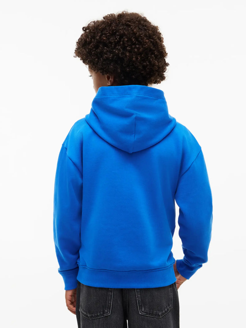Rear view of the Tommy Hilfiger heritage flag hoodie.