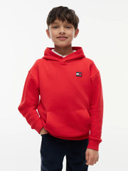Closer view of the Tommy Hilfiger heritage flag hoodie.