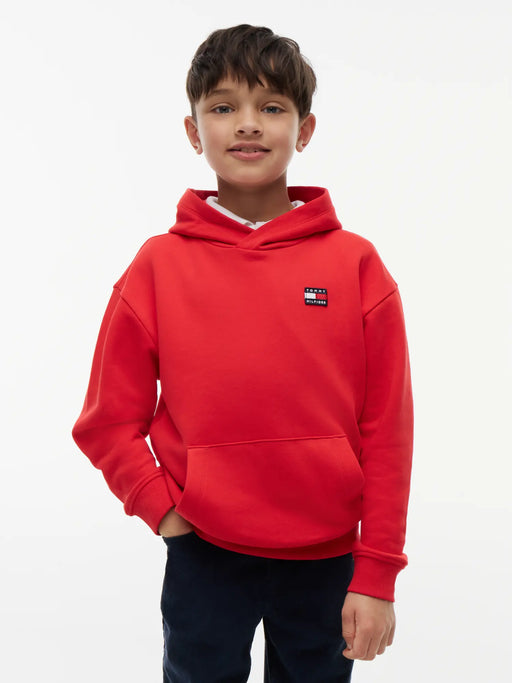 Closer view of the Tommy Hilfiger heritage flag hoodie.