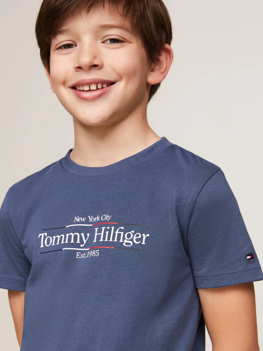 Closer look at the Tommy Hilfiger icon t-shirt.