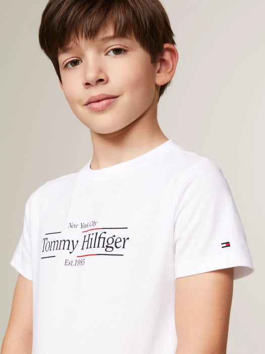 Closer look at the Tommy Hilfiger icon t-shirt.