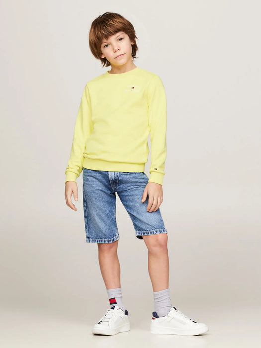 Boy modelling the Tommy Hilfiger logo hoodie.