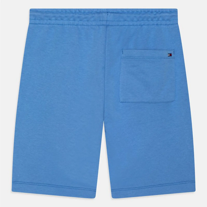 Tommy Hilfiger Logo Track Shorts - Blue