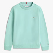 Tommy Hilfiger boy's mini logo sweatshirt - ks00665.