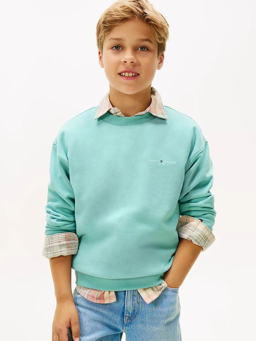 Closer look at the Tommy Hilfiger mini logo sweatshirt.