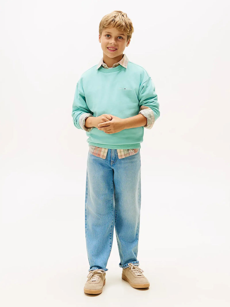 Boy modelling the Tommy Hilfiger mini logo sweatshirt.