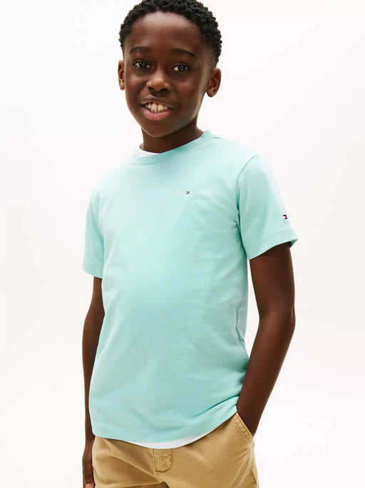 Closer look at the Tommy Hilfiger mini logo t-shirt.