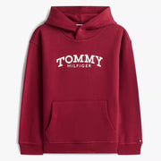 Tommy Hilfiger boy's monotype hoodie - kb10028.