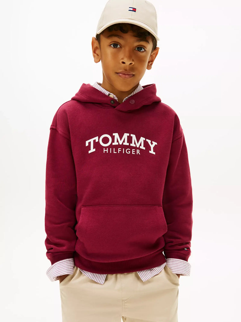 Closer view of the Tommy Hilfiger monotype hoodie.
