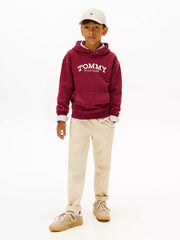 Boy wearing the Tommy Hilfiger monotype hoodie.