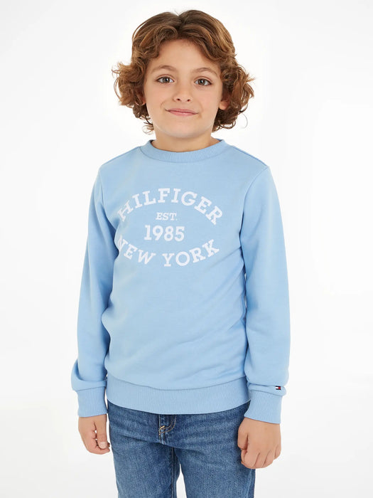 Boy wearing the Tommy Hilfiger monotype sweatshirt.