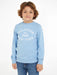 Boy wearing the Tommy Hilfiger monotype sweatshirt.