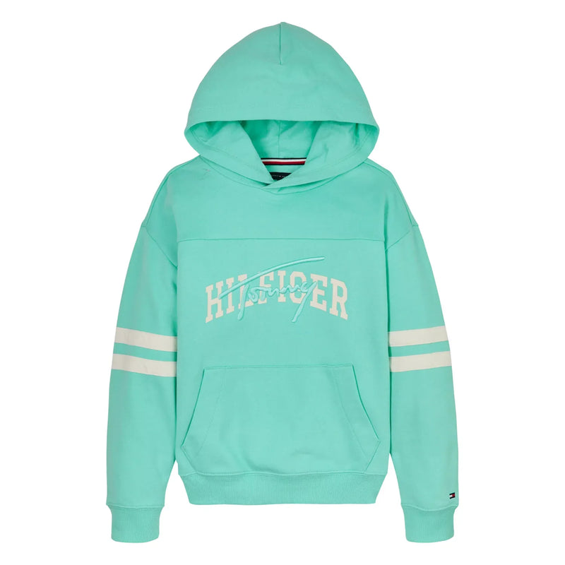 Tommy Hilfiger script logo hoodie - kb09742.