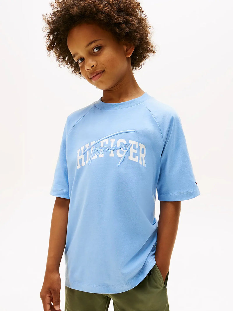 Closer look at the Tommy Hilfiger script logo t-shirt.