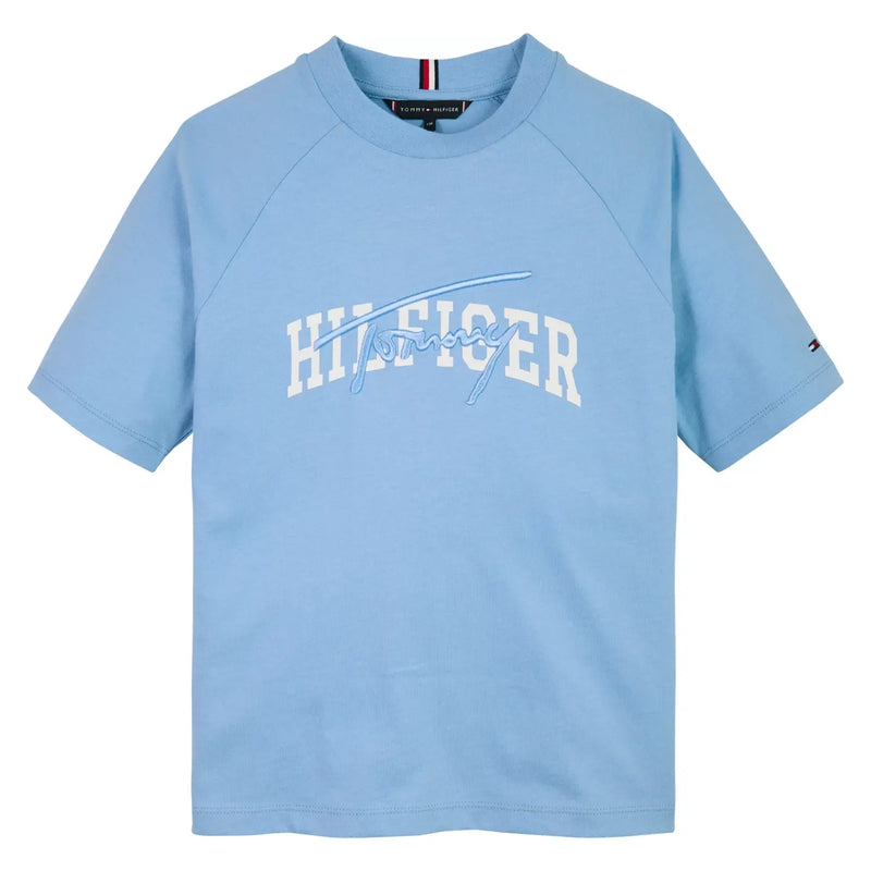 Tommy Hilfiger blue script logo t-shirt - kb09726.