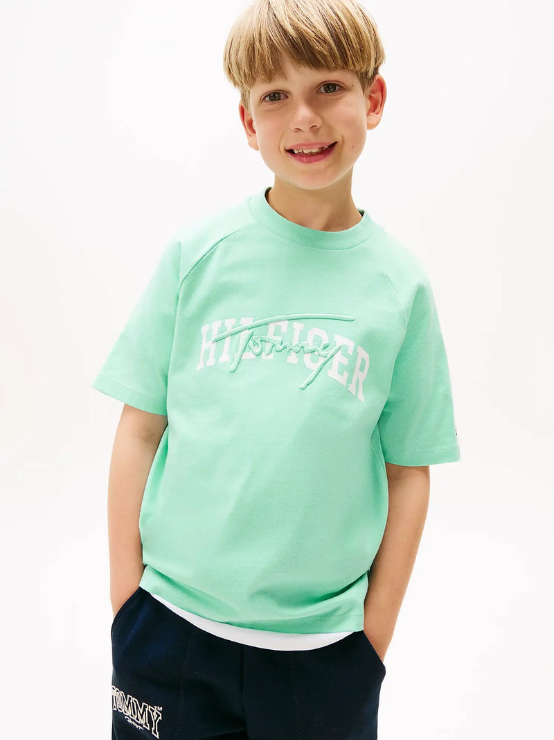 Closer view of the Tommy Hilfiger script logo t-shirt.