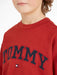 Closer view of the Tommy Hilfiger varsity t-shirt.